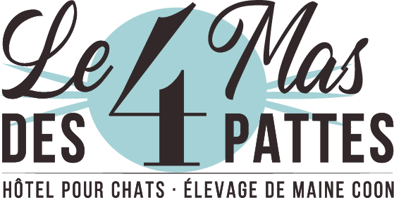 Le Mas des 4 Pattes - Hôtel pour chats - Elevage de Maine Coon - Logo 2026